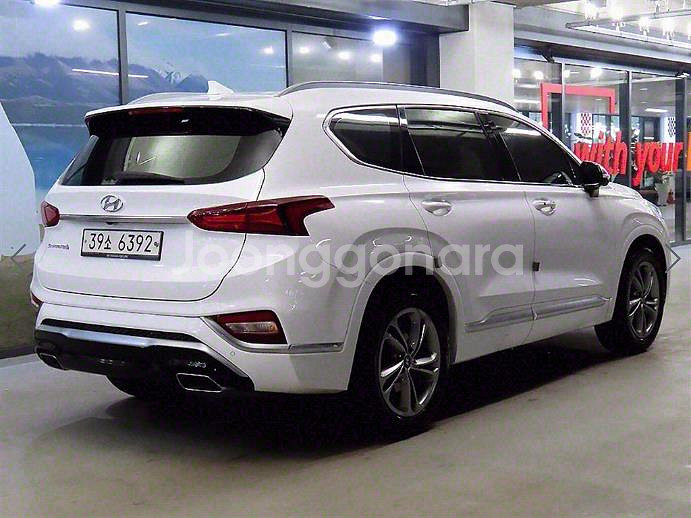 @19년식 싼타페(TM) R2.2 2WD 인스퍼레이션--4