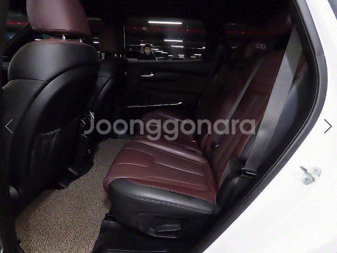 @19년식 싼타페(TM) R2.2 2WD 인스퍼레이션--7