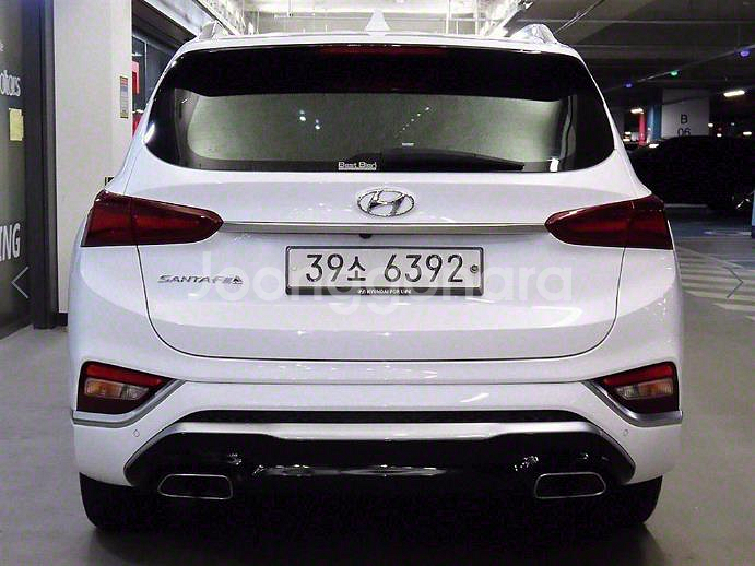 @19년식 싼타페(TM) R2.2 2WD 인스퍼레이션--5