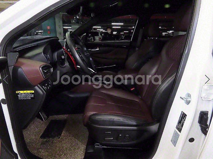 @19년식 싼타페(TM) R2.2 2WD 인스퍼레이션--6