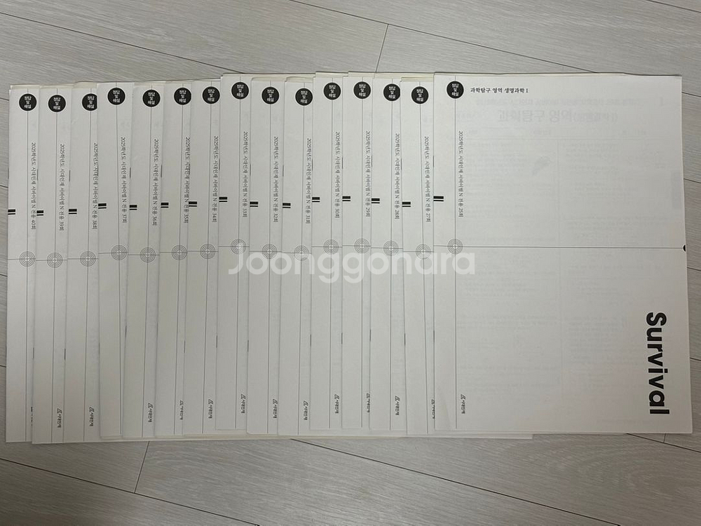 시대인재서바이벌N생1--1