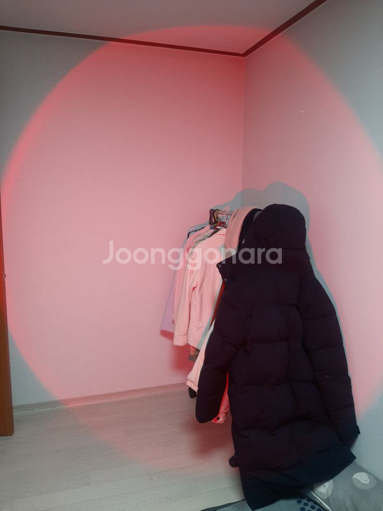 사진조명, 지속광, led, 컬러--2