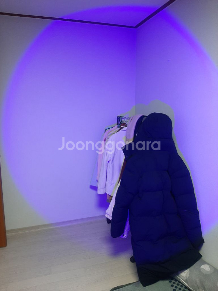 사진조명, 지속광, led, 컬러--3