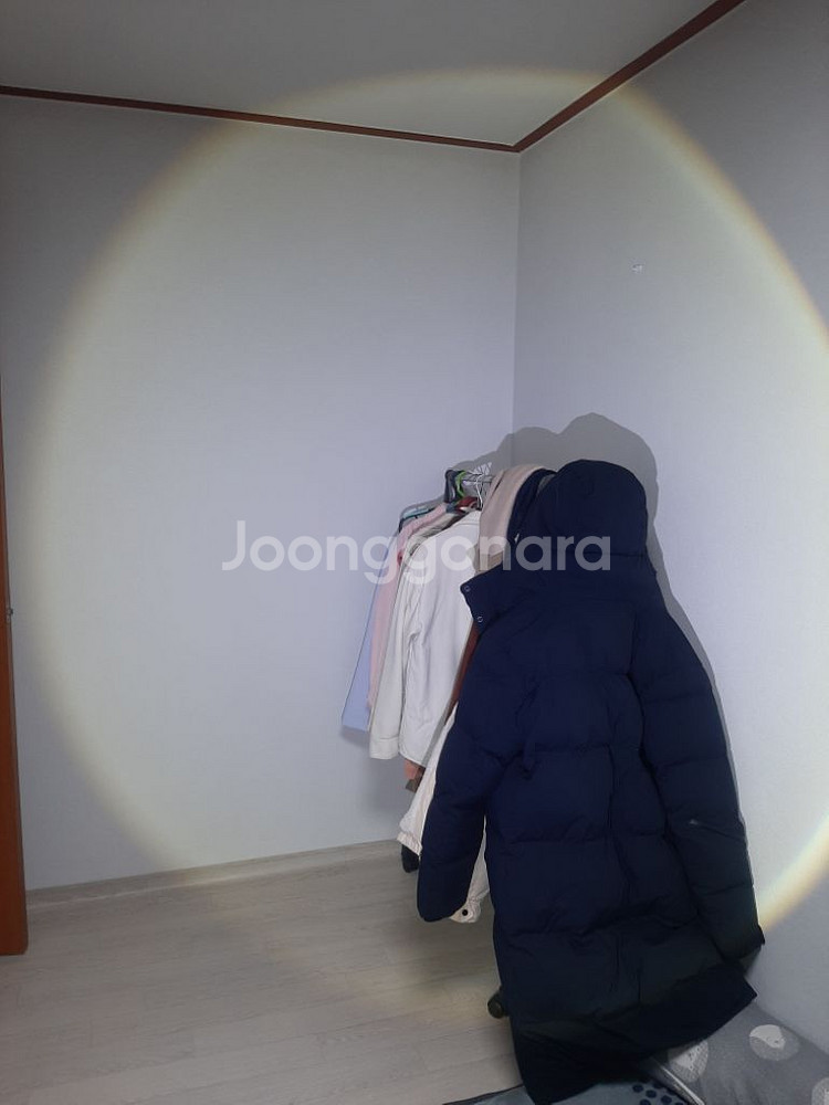 사진조명, 지속광, led, 컬러--5