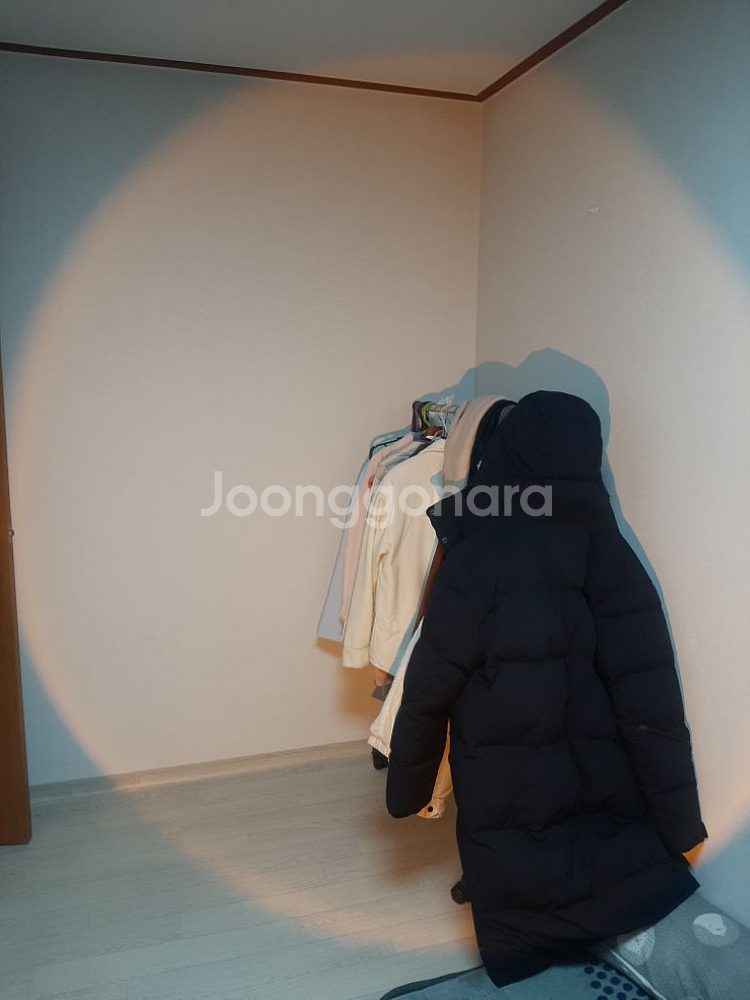 사진조명, 지속광, led, 컬러--4