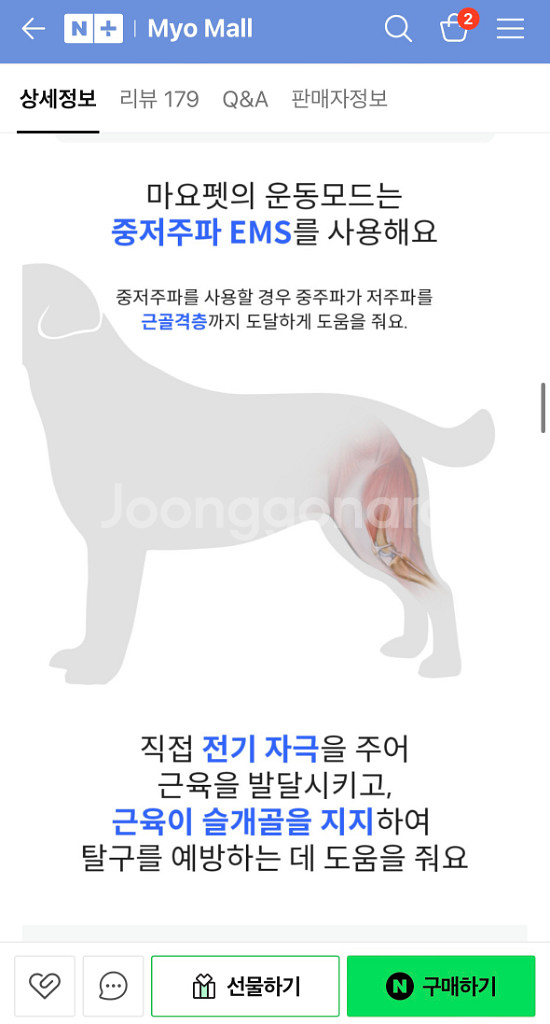 마요펫 강아지 Ems 중저주파 슬개골 재활치료기--8
