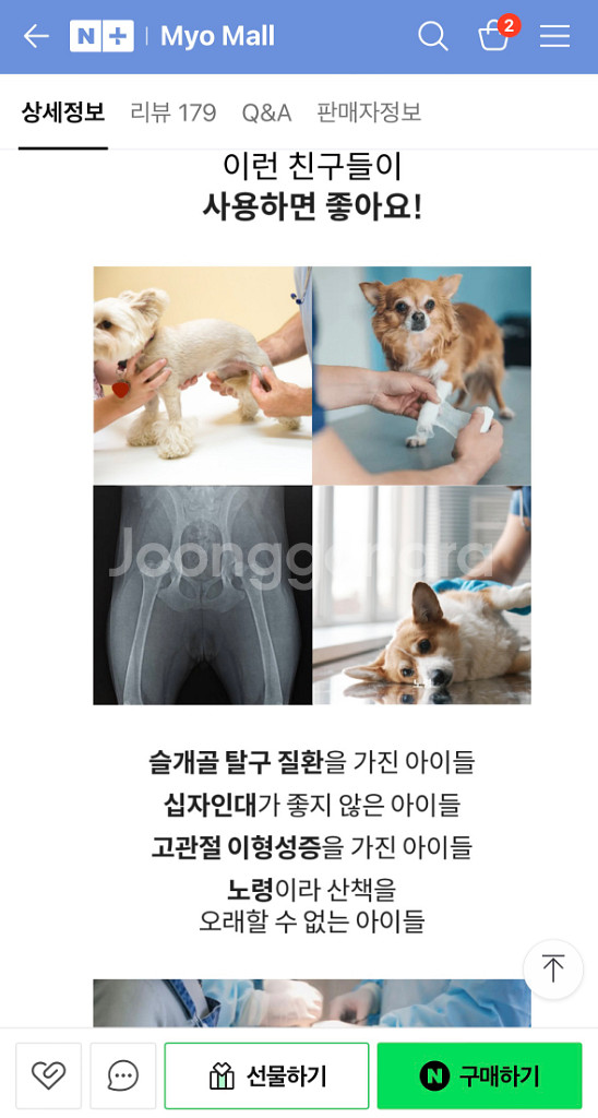 마요펫 강아지 Ems 중저주파 슬개골 재활치료기--5