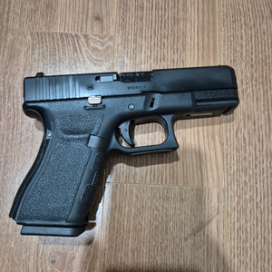 we glock 19