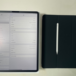 아이패드 프로 12.9 6세대 256gb + 애플펜슬