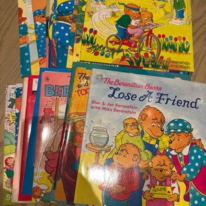 영어원서 The Berenstain Bears 베렌스타