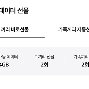 skt 데이터 2gb