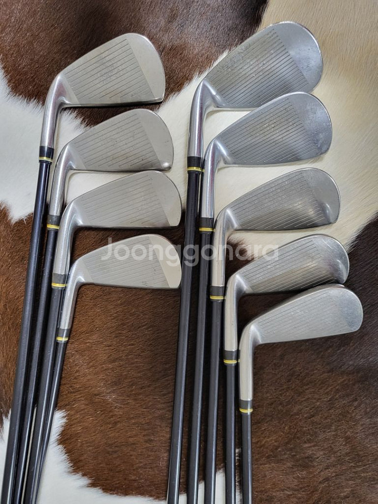 미즈노 Mizuno E-10 9아이언 세트--1