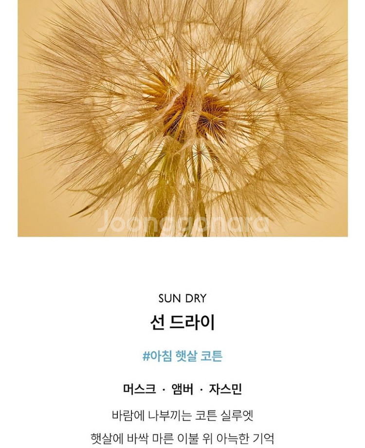 리베르 흰머리 오목눈이 키링 & 섬유향수 세트--2