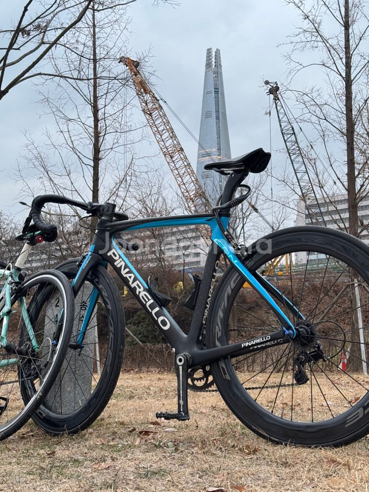 피나렐로 간s--2