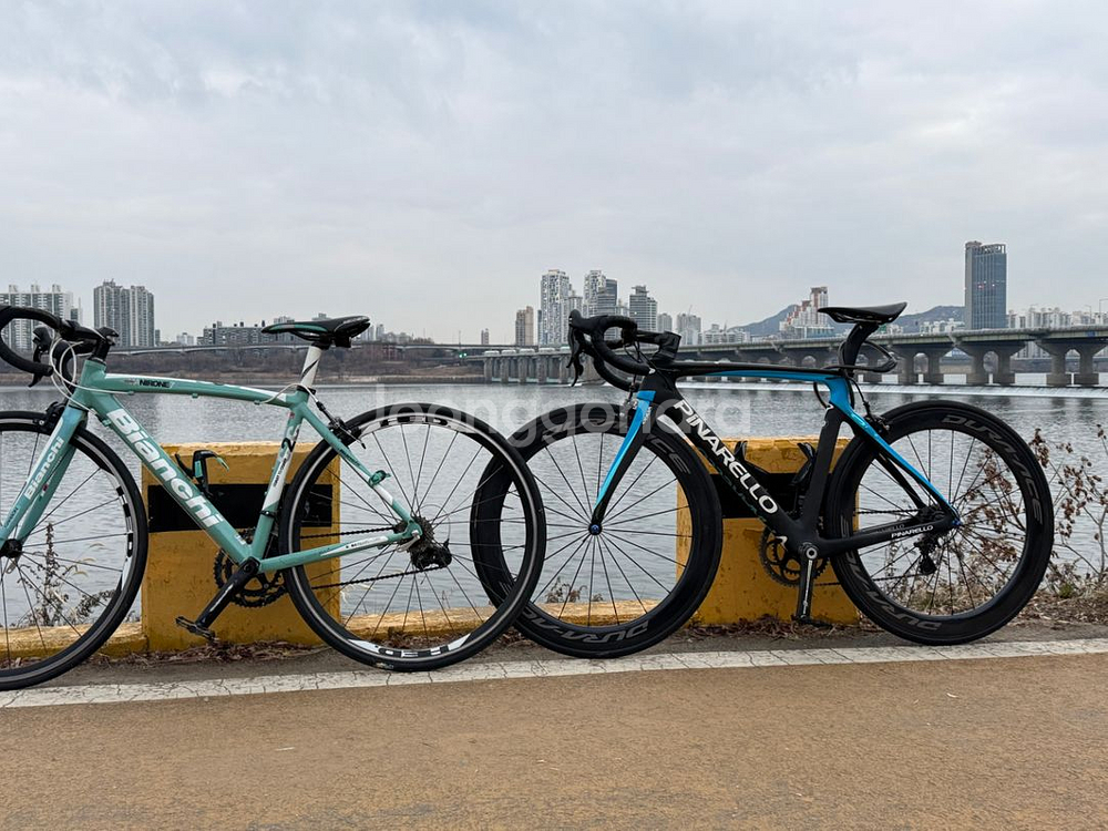 피나렐로 간s--1