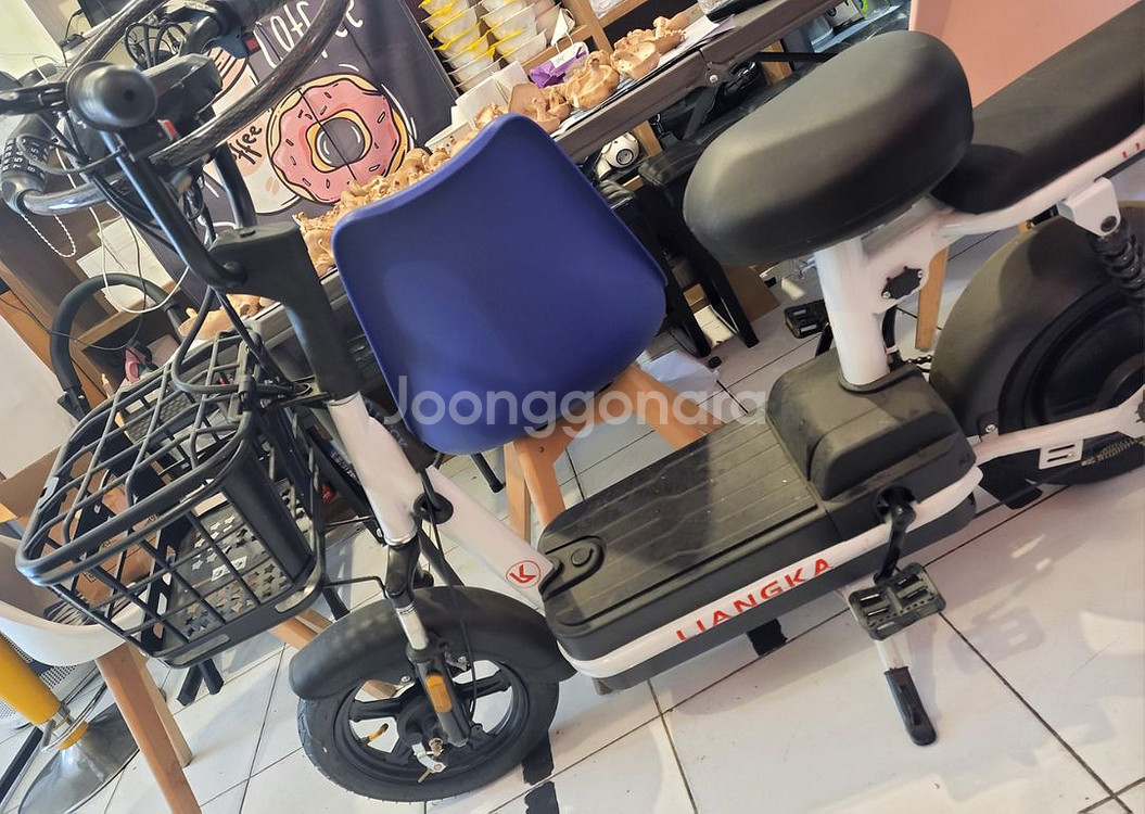 전기자전거--1