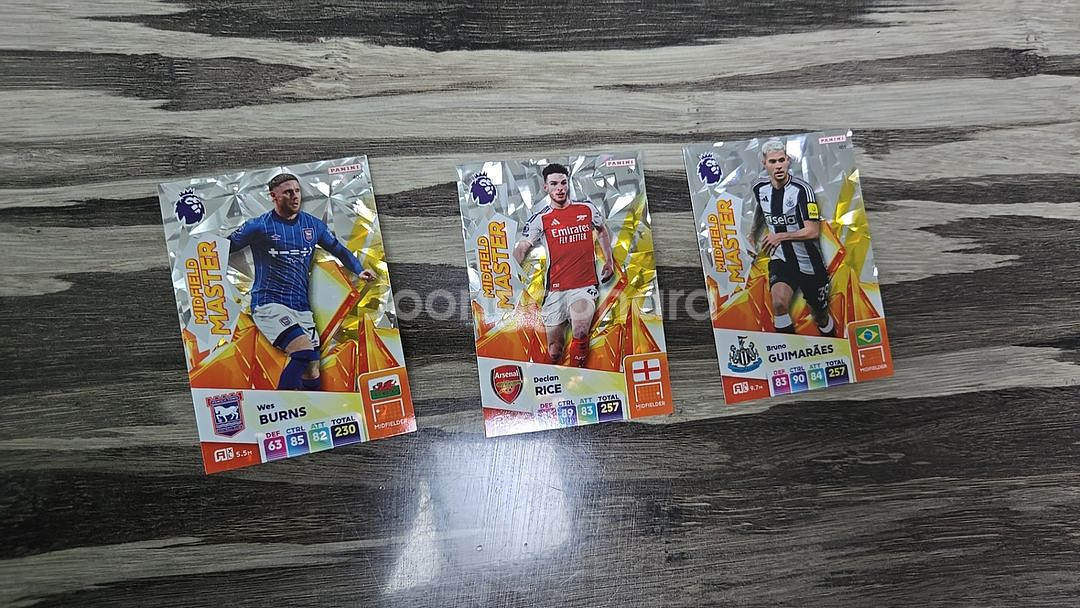 파니니 축구카드(TopClass,365,epl)--3