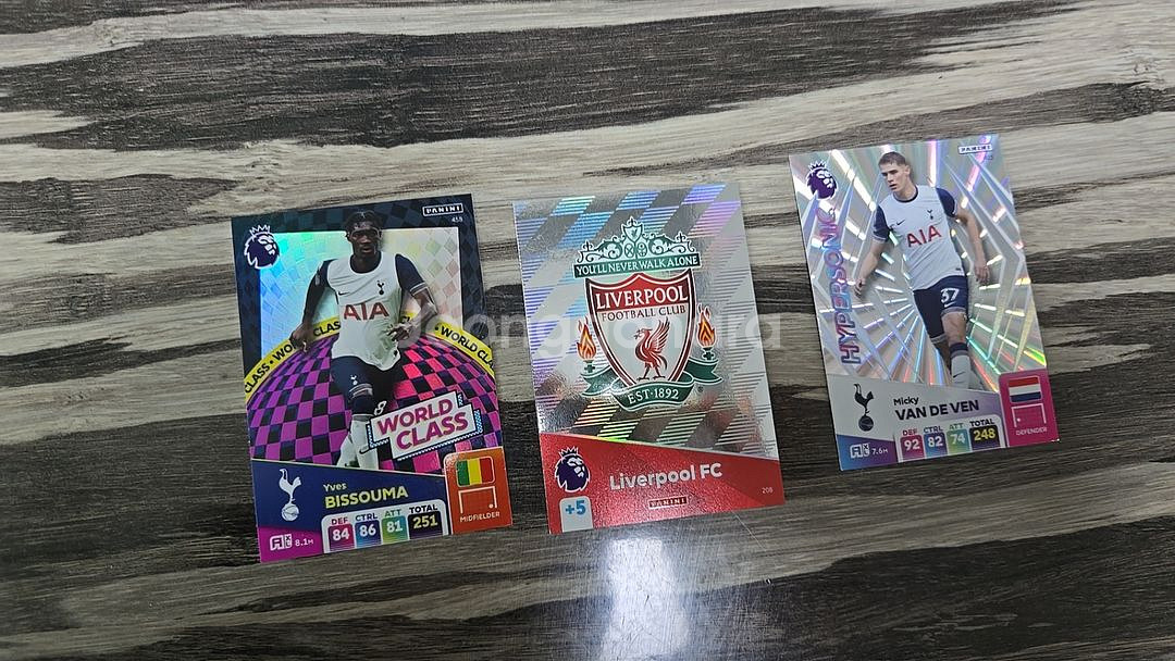 파니니 축구카드(TopClass,365,epl)--4