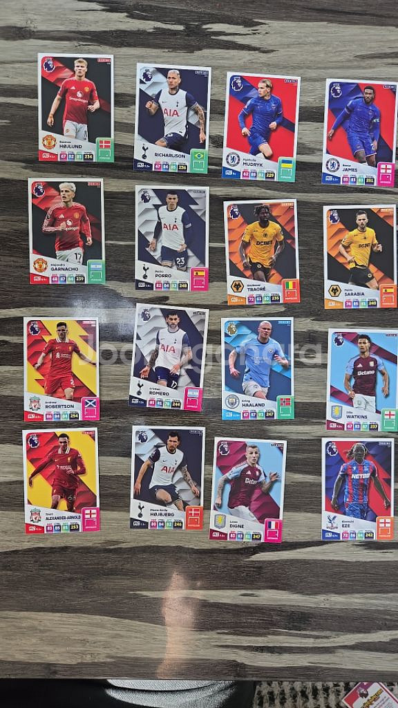 파니니 축구카드(TopClass,365,epl)--9