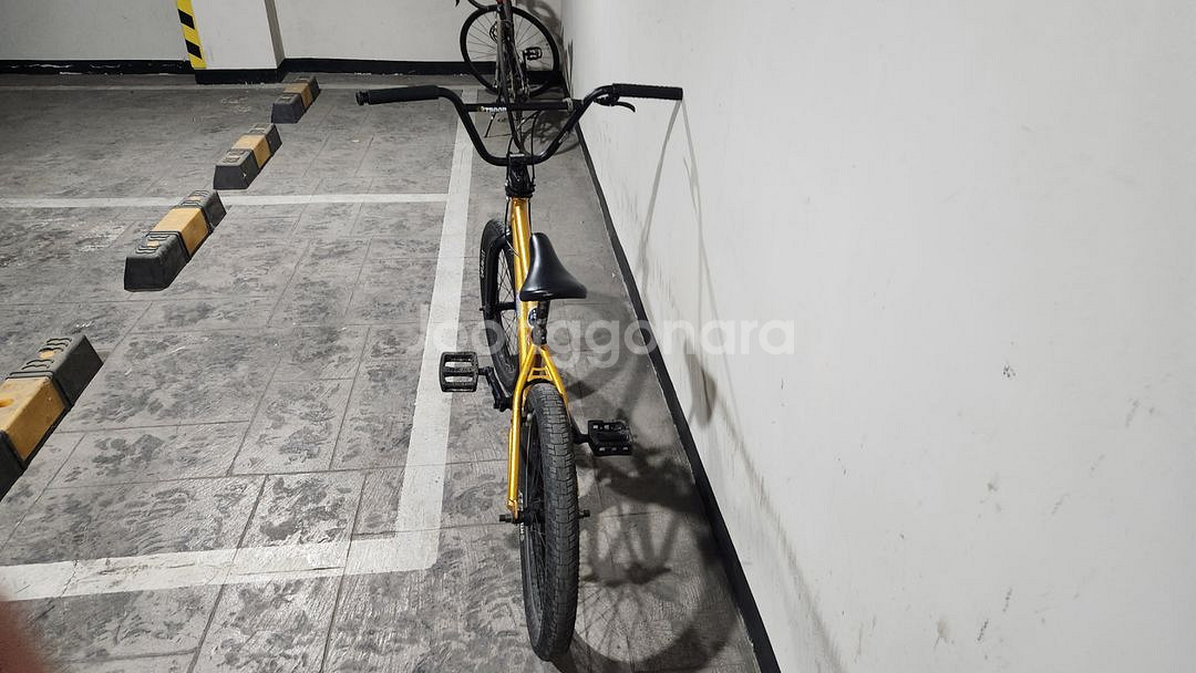 금색 킨크 BMX--1