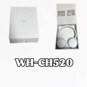 WH-CH520 판매