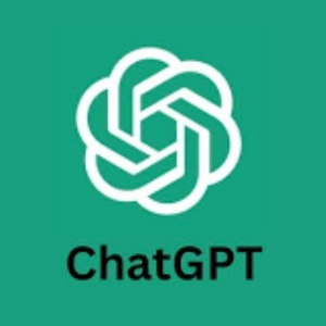 Chatgpt 4o 팀플랜 파티원 모집합니다 (GPT