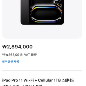 아이패드 M4 프로 11인치 1TB 셀룰러 모델 + 애