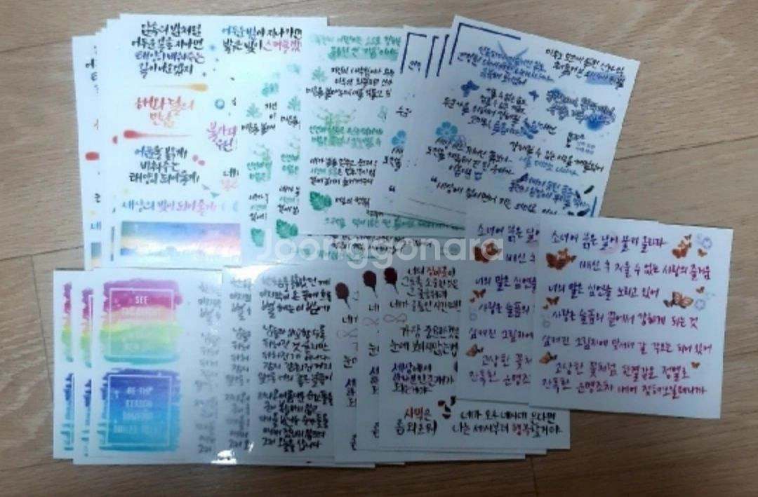 (덤폭탄)애니인스, 캘리인스--3