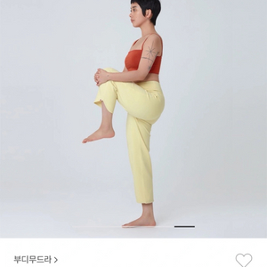 부디무드라 상하의 판매