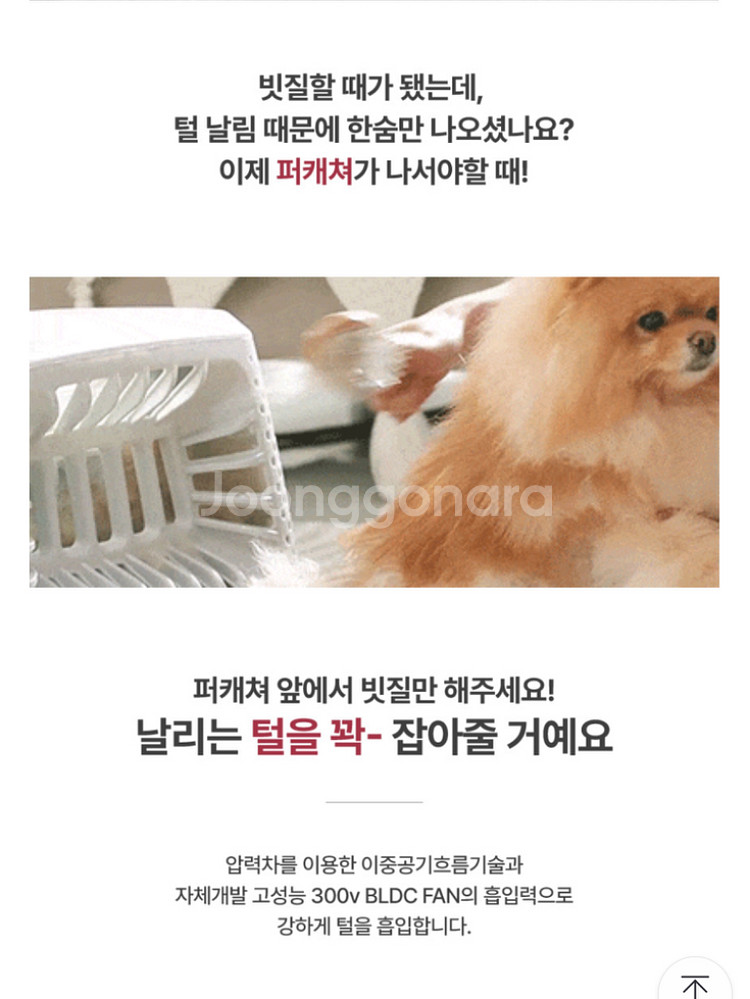 페페 앱스퍼(AbsFur) 고양이 펫드라이기룸 털포집기--6