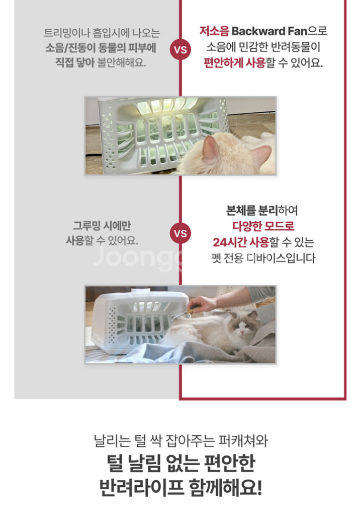 페페 앱스퍼(AbsFur) 고양이 펫드라이기룸 털포집기--8