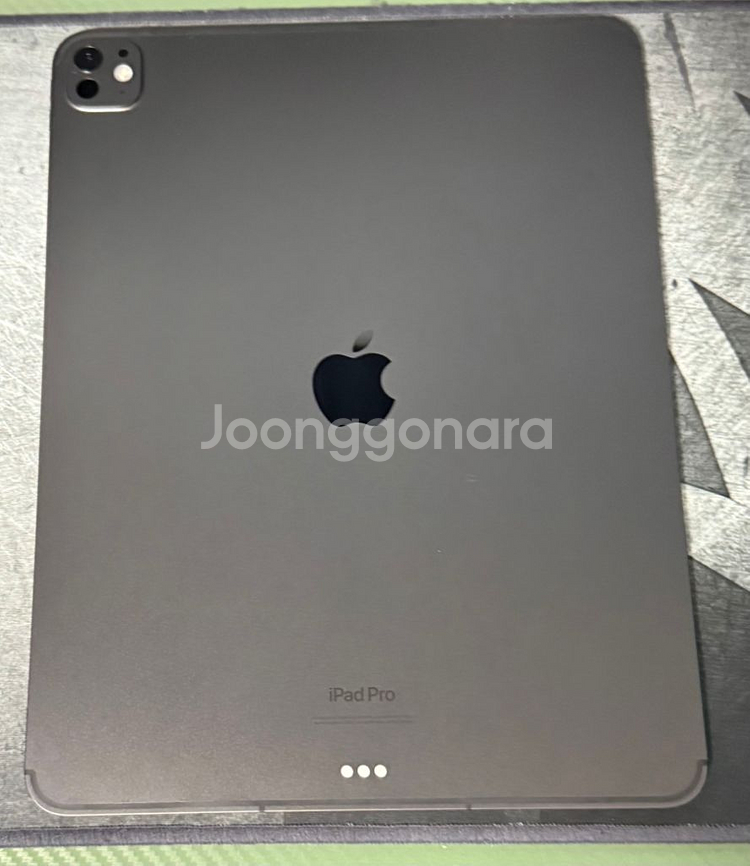 아이패드 프로 13인치 M4 256 셀룰러(애케플)--1