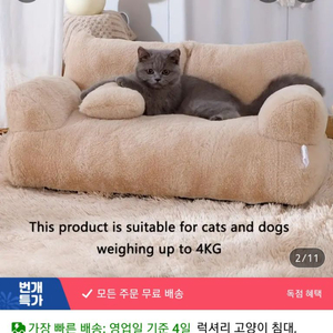 강아지 고양이 쇼파