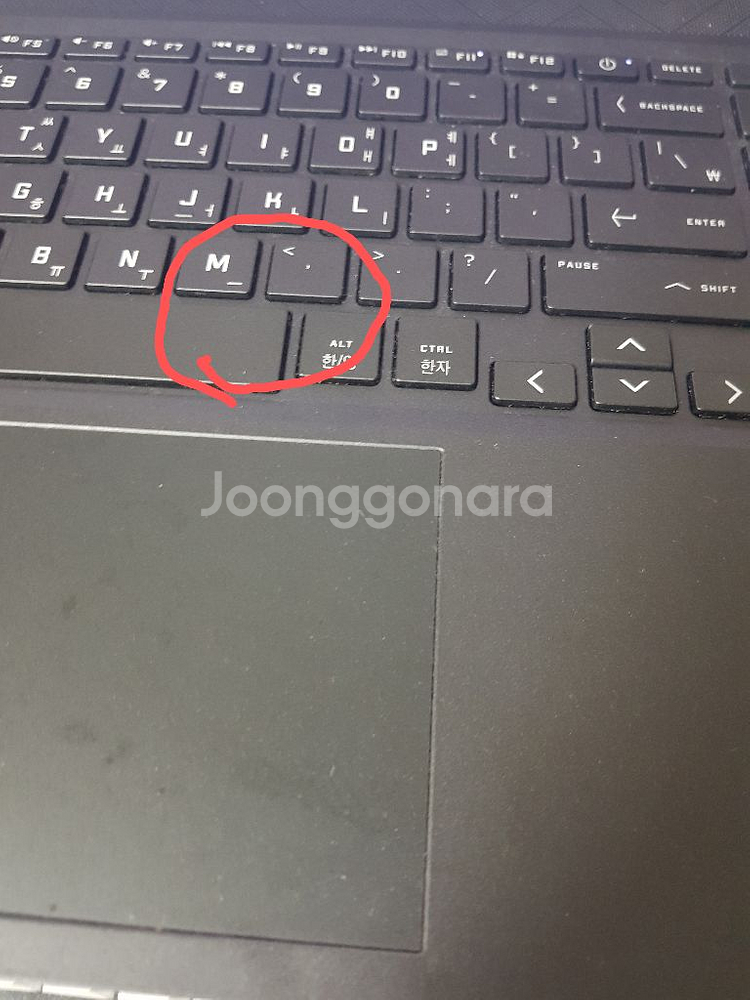 HP victus16 +윈도우10 정품 키--2