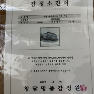 디올 오블리크 패딩(새상품급) 감정서 있음