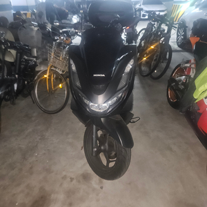 pcx125 ABS/ 24년7월