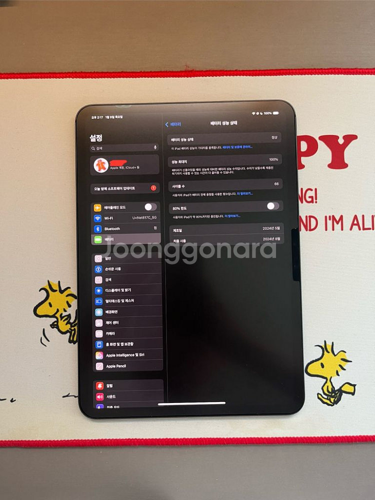 아이패드프로11 m4 256g wifi+애플펜슬pro--4