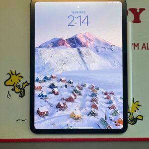 아이패드프로11 m4 256g wifi+애플펜슬pro