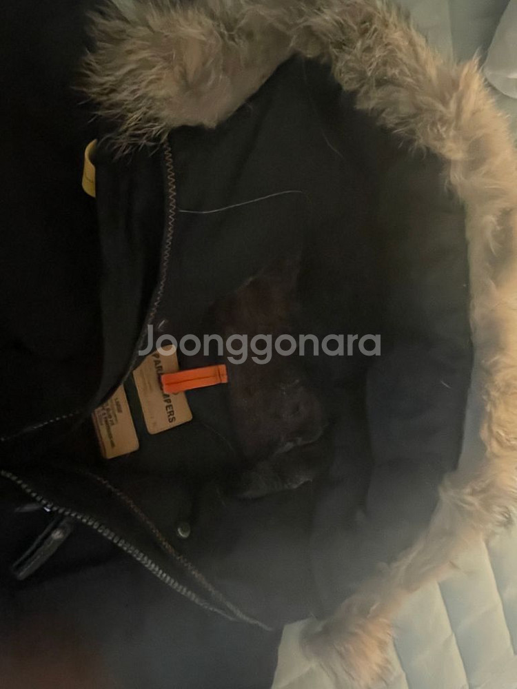 파라점퍼스 고비 블랙 L 21FW--2