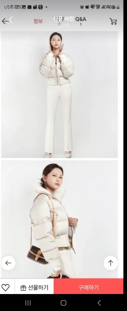 루이비통 모노그램패딩--1