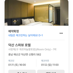 덕산 스파뷰 호텔 이용권