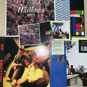 wallows 왈로우스 왈로우즈 lp 엘피 cd 씨디