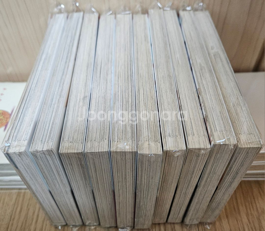 (만화책)패러독스 1-10 올초판--2