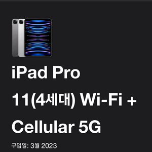 아이패드 프로 11 4세대 Wi-Fi + Cellula