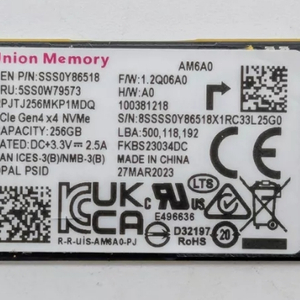 Union SSD Gen4x4 NVMe 256GB 팜