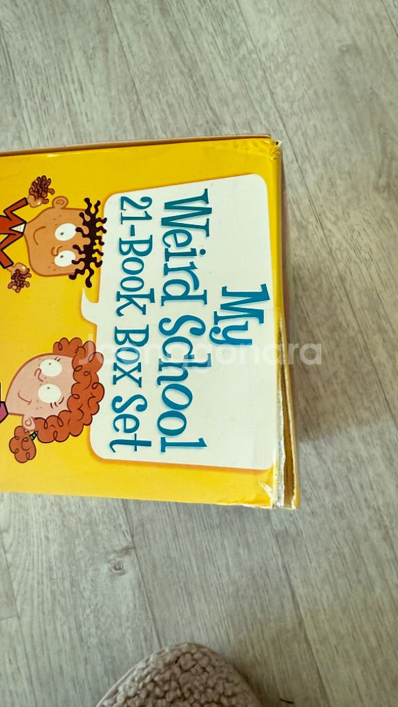 My Weird School 21-Book Box Se--2