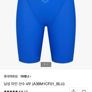 아레나 남자수영복 5부