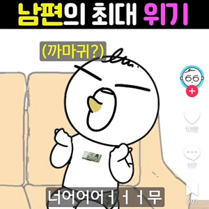 롤체 롤토 강의 맡김 최저가 신속 롤토체스