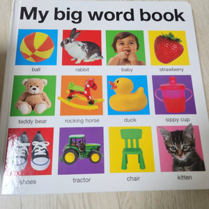 보드북) My big word book