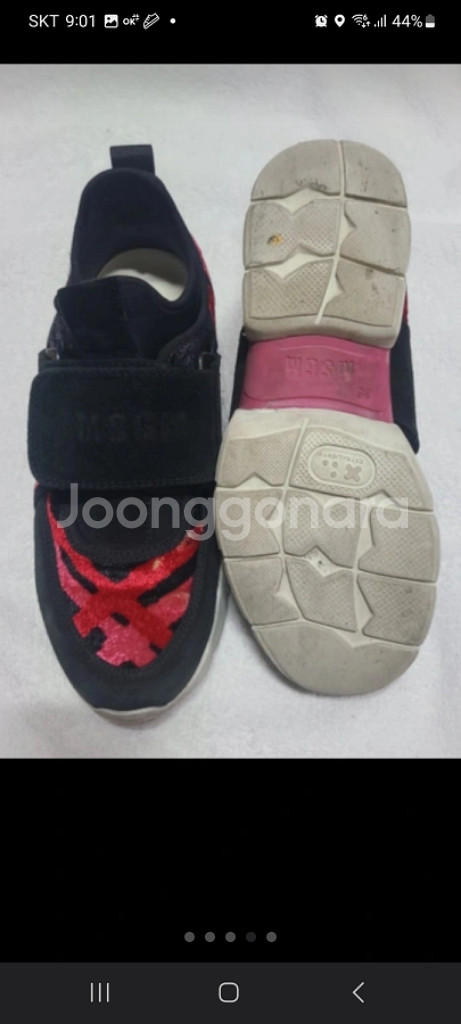 MSGM 스니커즈 36 (235)--2
